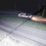 Rally Coppa Città di Modena 1988, Ferraresi-Partesotti