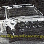 Rally Coppa Città di Modena 1988, Vincenzi-Paterlini