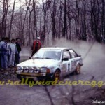 Rally Coppa Città di Modena 1988, Vincenzi-Paterlini