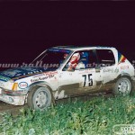 Rally Coppa Città di Modena 1990, Zanelli-Dallari