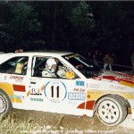 Rally Città di Modena 1994, Maioli-Fontanesi