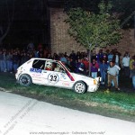 Rally Città di Modena 1994, Gazzetti-Zona
