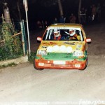 Rally Città di Modena 1996, D'Arcio-Palladini