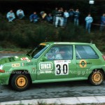 1991, Rally Firenze Mugello, Maccioni-Borellini
