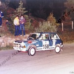 6° Rally Appennino Reggiano 1982, Cerioli-Gozzi