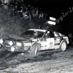 7° Rally Appennino Reggiano 1983, Vecchi-Bottazzi