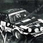 7° Rally Appennino Reggiano 1983, Aldini-Battini