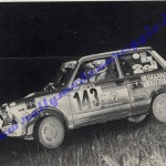 7° Rally Appennino Reggiano 1983, Cerioli-Gozzi