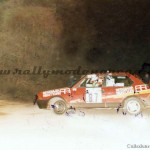 8° Rally Appennino Reggiano 1984, Cerioli-Gozzi