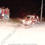 8° Rally Appennino Reggiano 1984, Borghi-Borghi