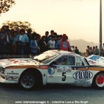 Rally Appennino Reggiano 1986, Borghi-Borghi