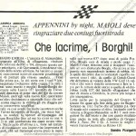 Rally Appennino Reggiano 1986,  Articolo di Rombo