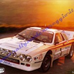 11° Rally Appennino Reggiano 1987, Maioli-Gozzi
