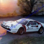 11° Rally Appennino Reggiano 1987, De Luca-Miselli
