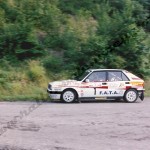 12° Rally Appennino Reggiano 1988, Maioli-Gozzi