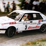 Rally Appennino Reggiano 1988, Borghi-Borghi