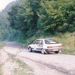 12° Rally Appennino Reggiano 1988, Ferrara-Ravera