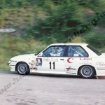 12° Rally Appennino Reggiano 1988, Pigoli-Caliro