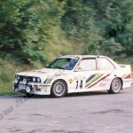 12° Rally Appennino Reggiano 1988, Immovilli-Toro
