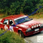 12° Rally Appennino Reggiano 1988, De Luca-Casari
