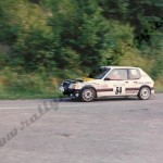12° Rally Appennino Reggiano 1988, Gatti-Facchini