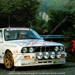 Rally Appennino Reggiano 1989, Zenere-Monis
