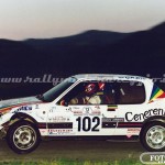 13° Rally Appennino Reggiano 1989, Zanelli-Dallari