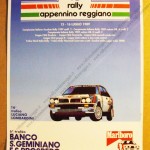13° Rally Appennino Reggiano 1989, il manifesto