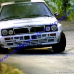 15° Rally Appennino Reggiano 1991, Maioli-Gozzi