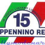 15° Rally Appennino Reggiano 1991, l'adesivo