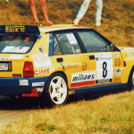 Rally Appennino Reggiano 1993, Ogliari-Zanella