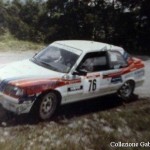 1992 - Rally Appennino Modenese, Gozzi-Gava